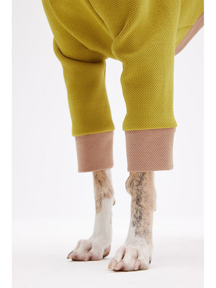 Dog sweaters and coats
