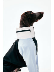 Dog Raincoats