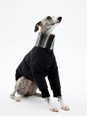 Winter Black Down Jacket