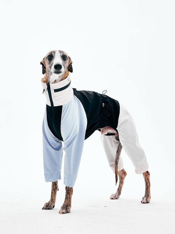 Dog Raincoats
