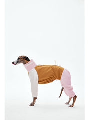 Dog Raincoats