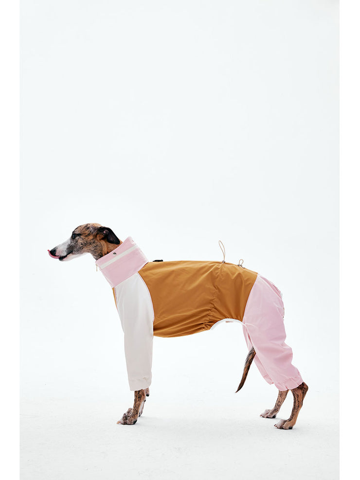 Dog Raincoats