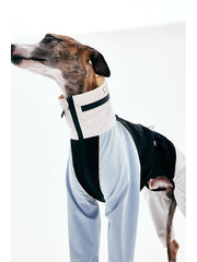 Dog Raincoats
