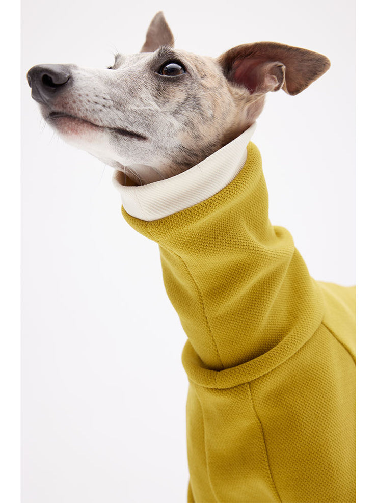 Italian greyhound sweaters