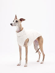 coats for dogs in winter