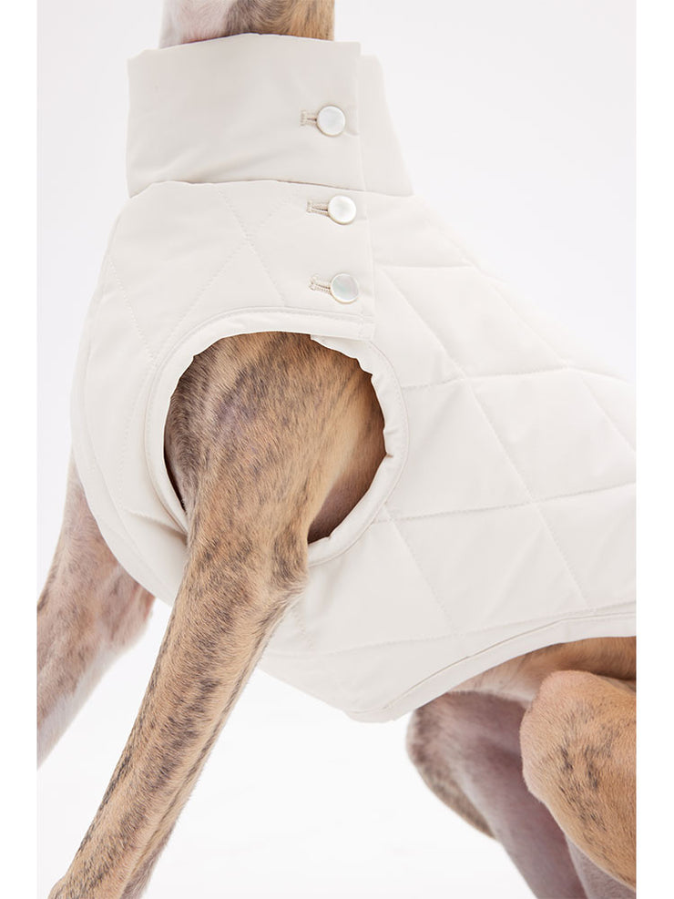 jackets for dogs winter