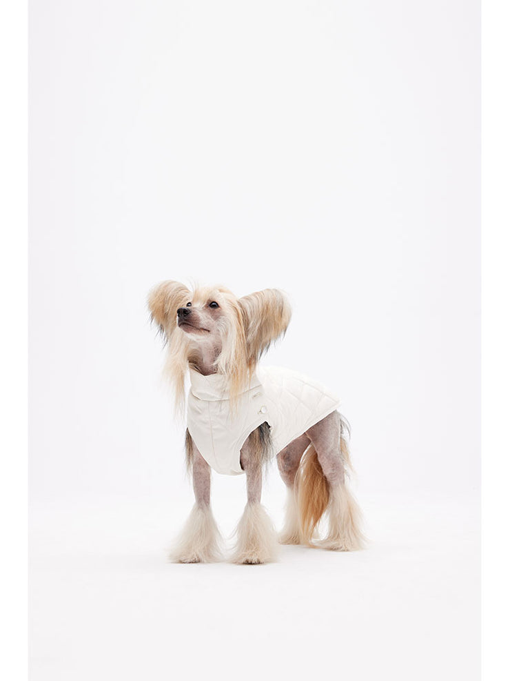 winter dog clothes 