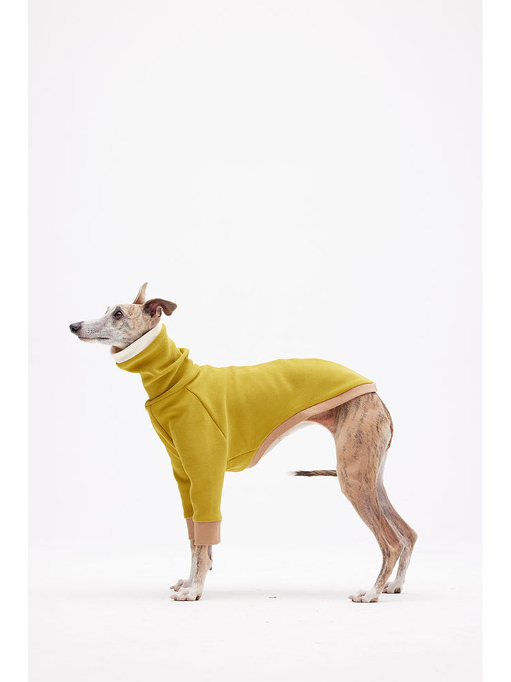 Puppy clothing