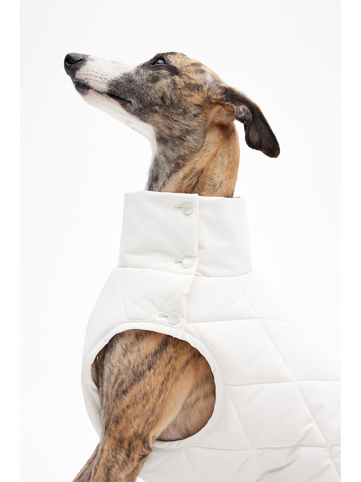 dog jackets winter