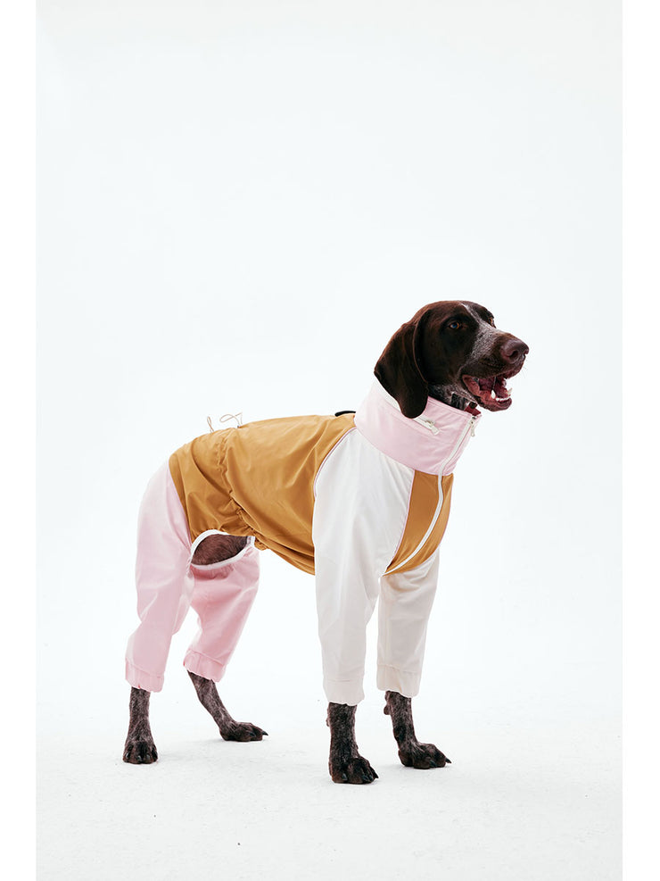 Dog Raincoats