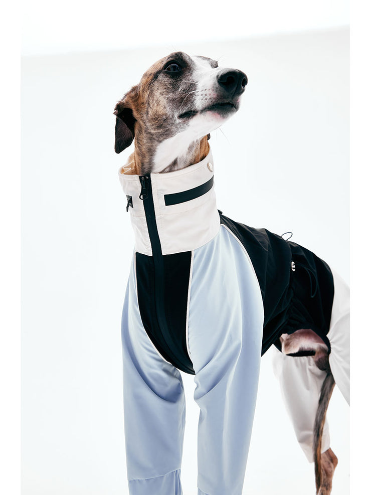 Dog Raincoats