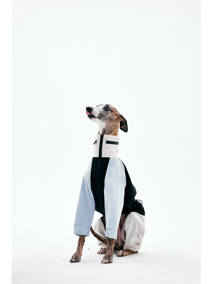 Dog Raincoats