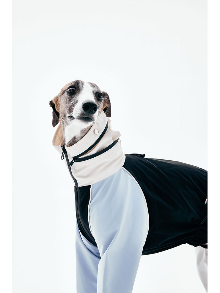 Dog Raincoats