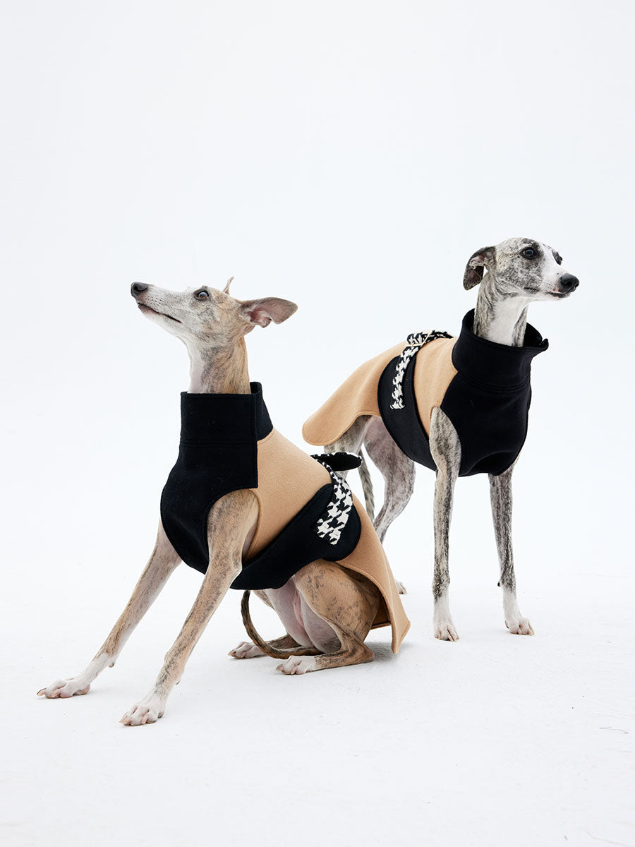 Dogs Wool Coat | Dog Luxury Jacket - KNOWZA
