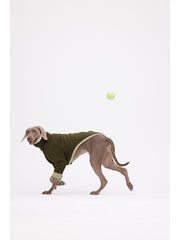 xxl max size dark green dog sweater