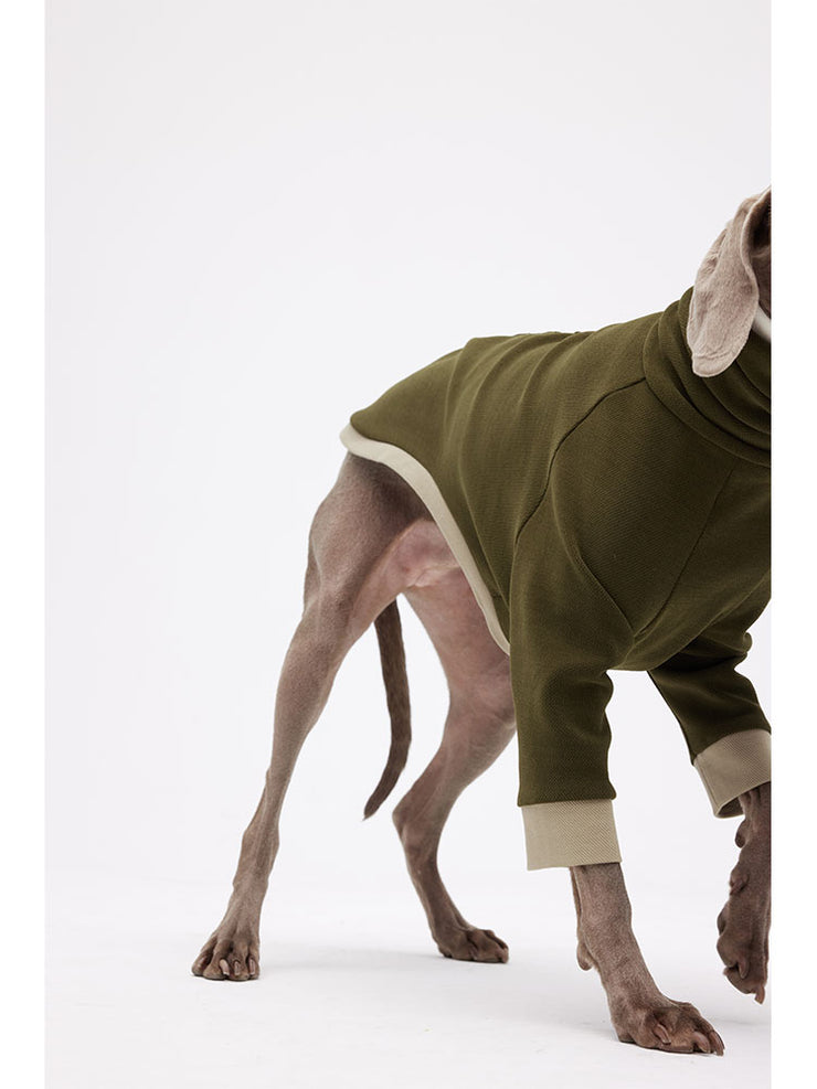 xl plus size dog sweater