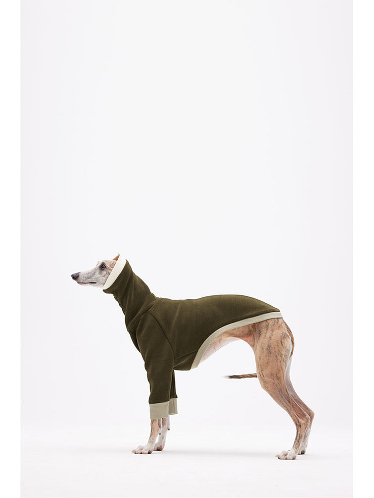 puppy outfits