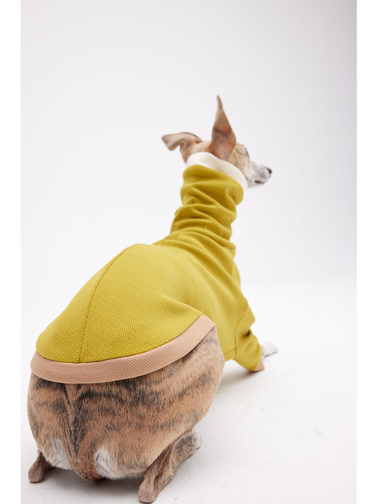 Puppies clothes