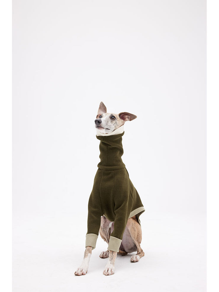 best puppies clothes