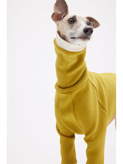 Italian greyhound sweater