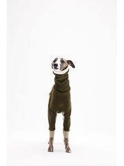 italian greyhound clothes