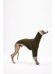 dog sweaters and coats 