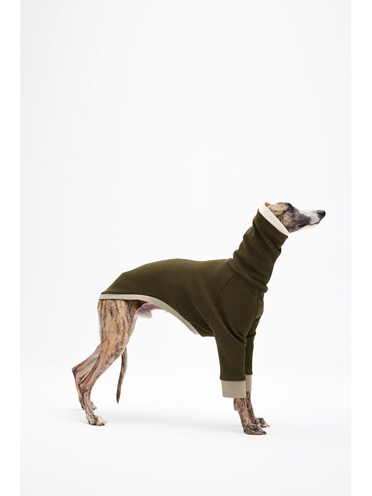 dog sweaters and coats 