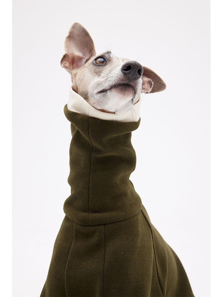 Whippet Sweater | Doggy Sweater | Italian Greyhound Outfits