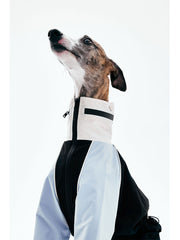 Dog Raincoats