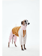 Dog Raincoats