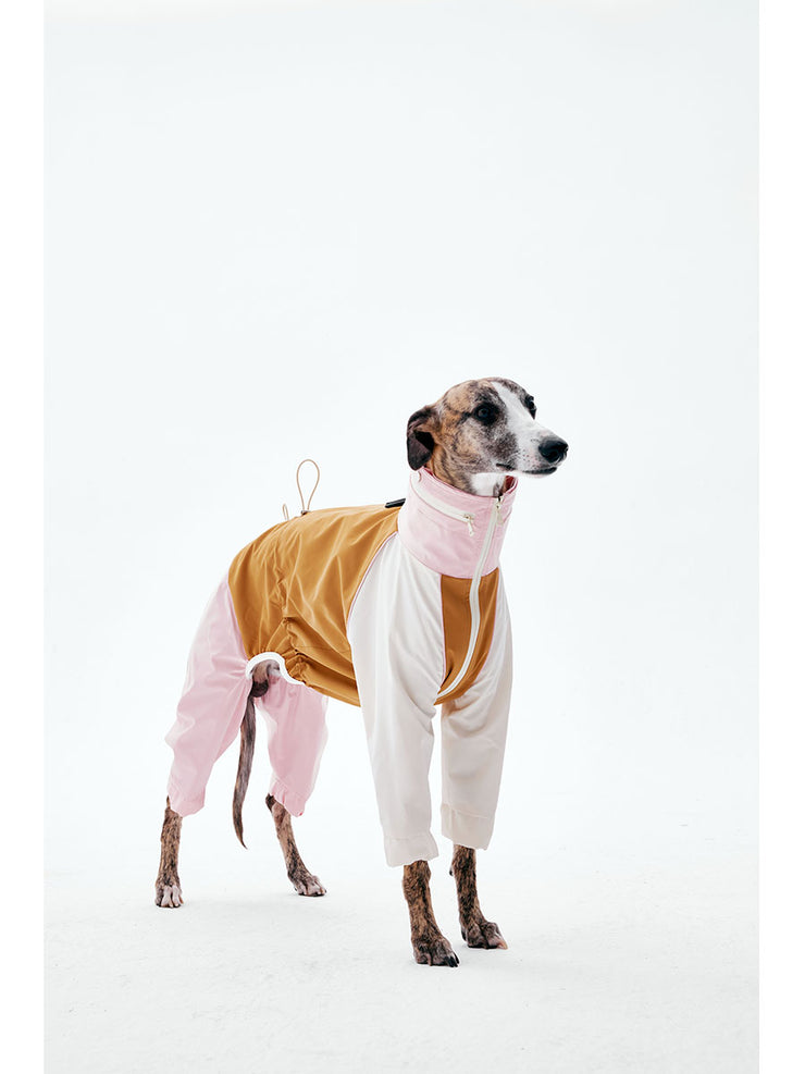 Dog Raincoats