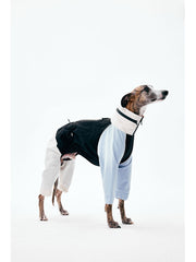 Dog Raincoats