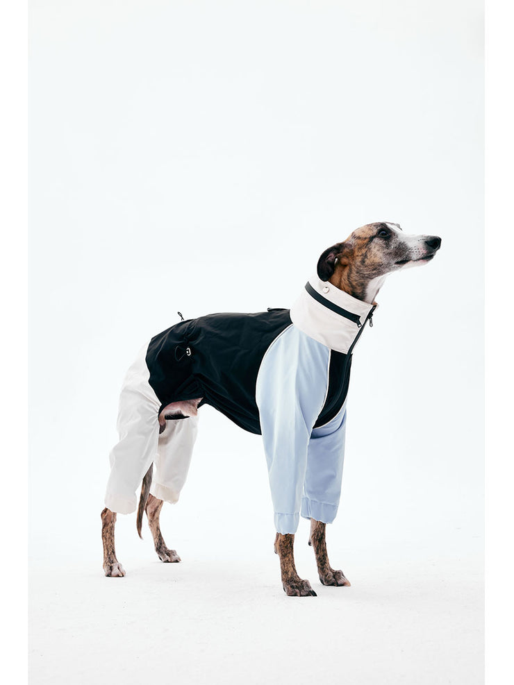 Dog Raincoats