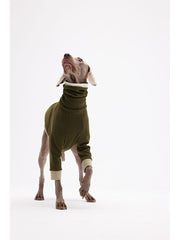 Dark Green Large Dog Sweater