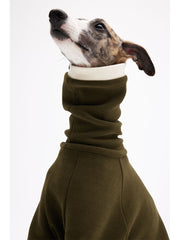 puppies clothes