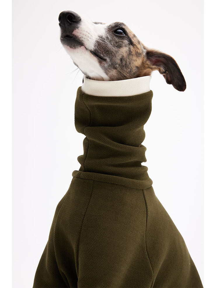 puppies clothes
