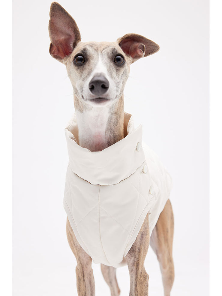 puppy-clothing-Jacket