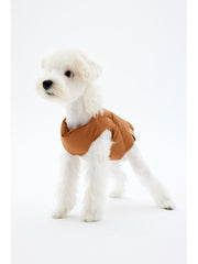 Puppy Winter Down Coat