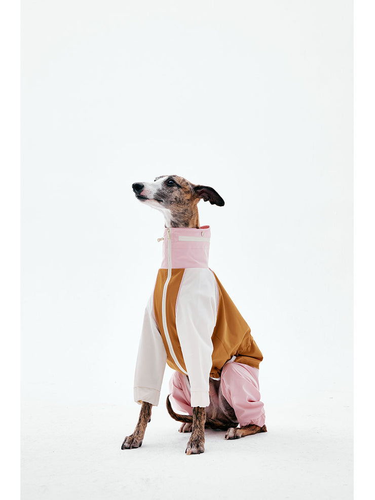 Dog Raincoats