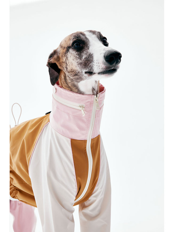 Dog Raincoats