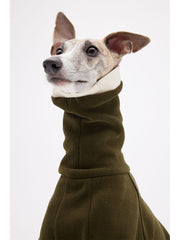 italian greyhound sweater