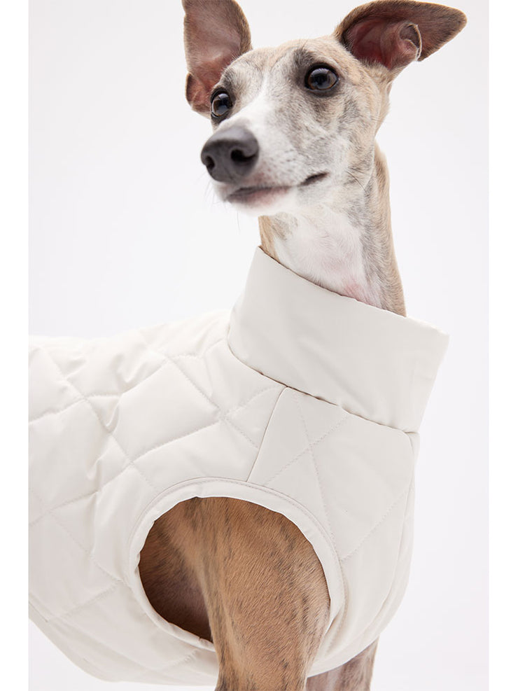 winter clothes for dogs