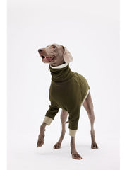 Best Weimaraner Sweater