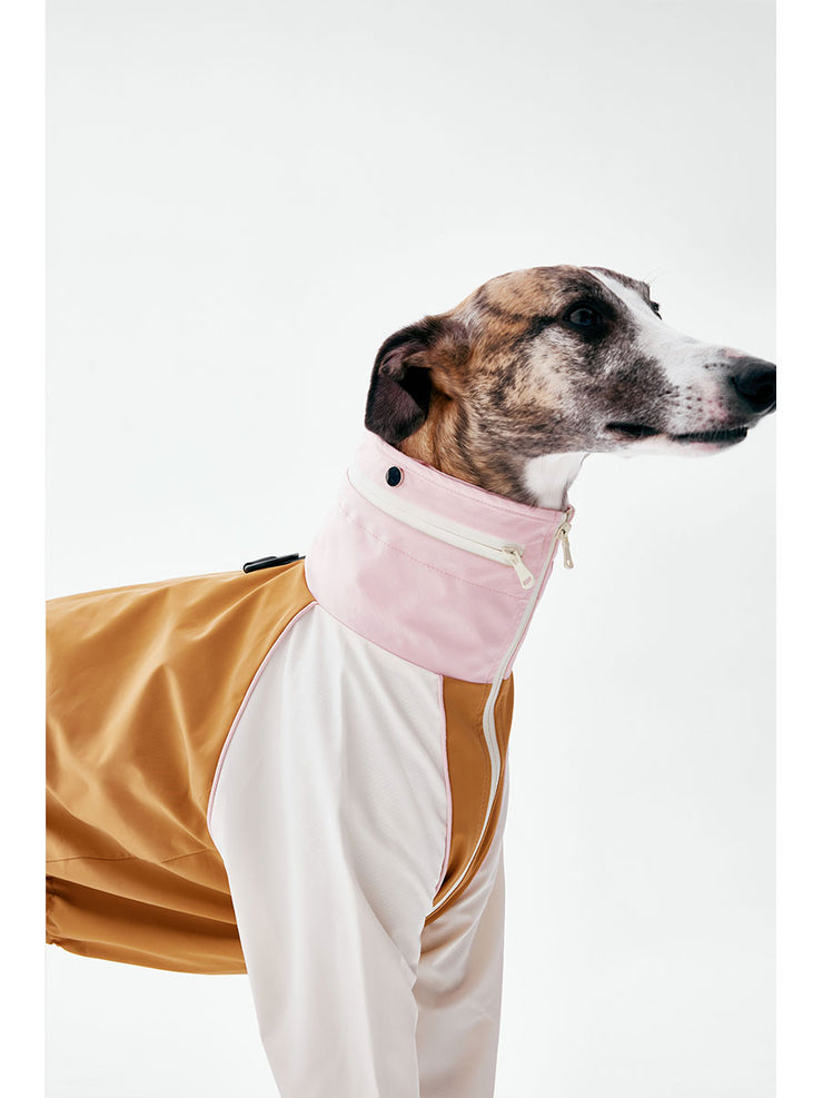 Dog Raincoats