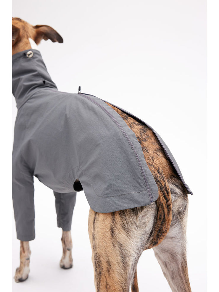 body suit dog 