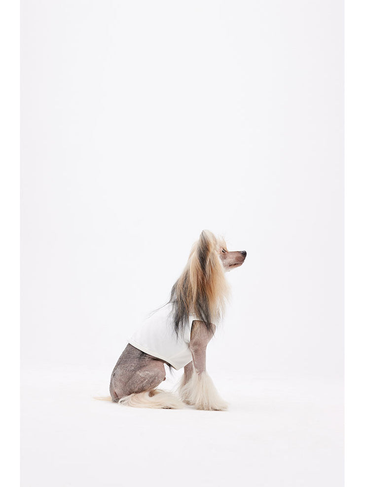 best dog vest