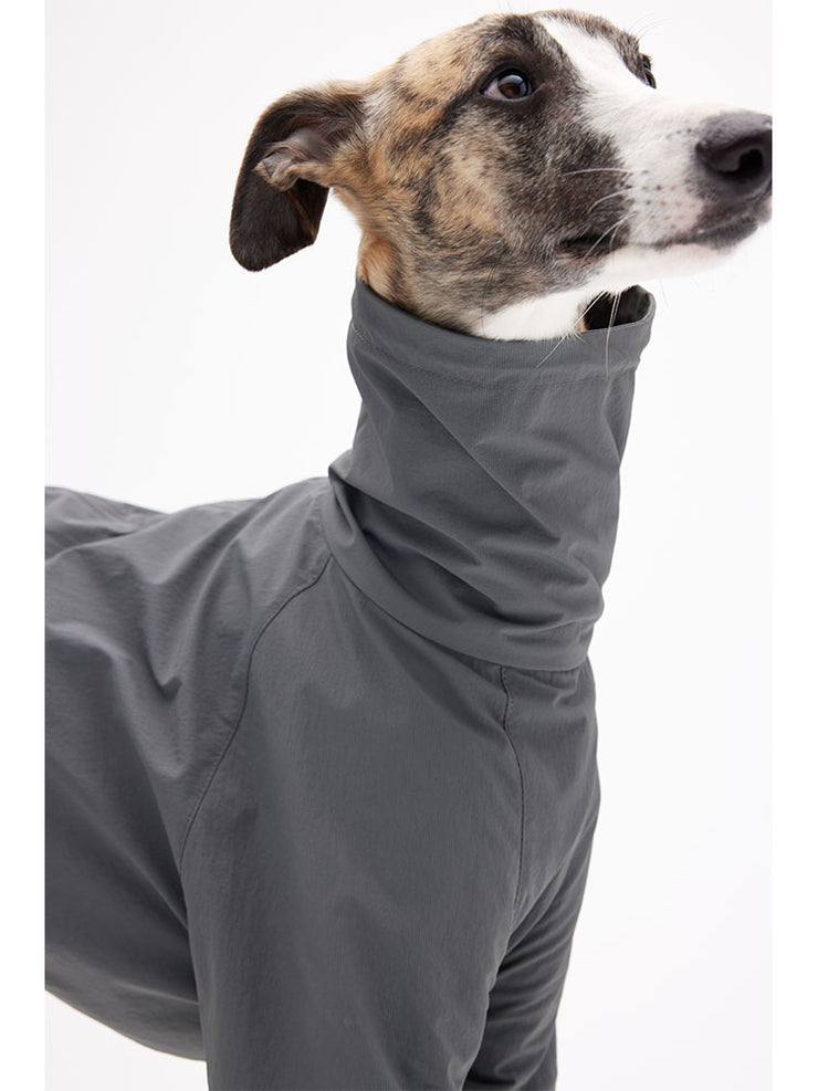 Dogs quick dry clothes 