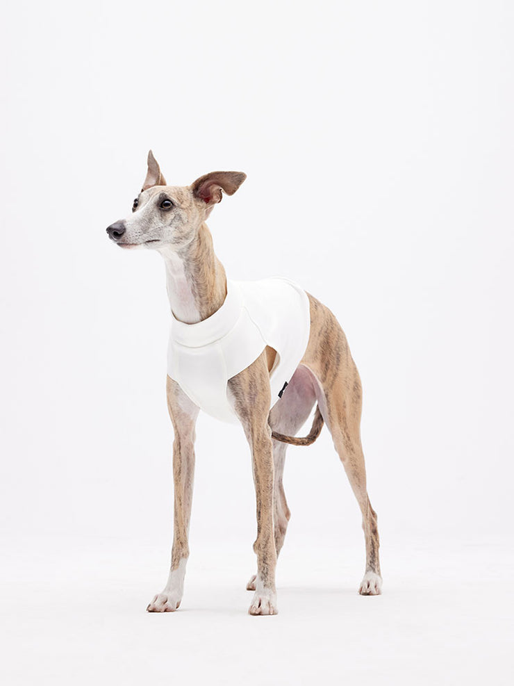 Dogs white vest