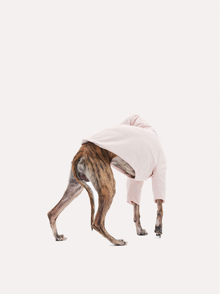 down dog jacket 