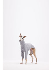 body suit dog 